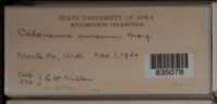 Image Associated With the Occurence